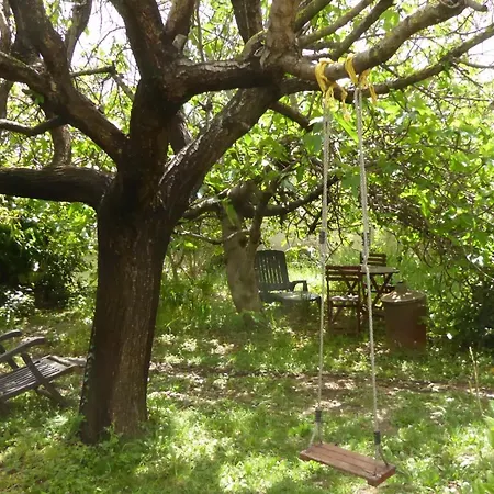 Les Pucines T2 Bas De Bed & Breakfast