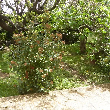 Les Pucines T2 Bas De Six-Fours-les-Plages